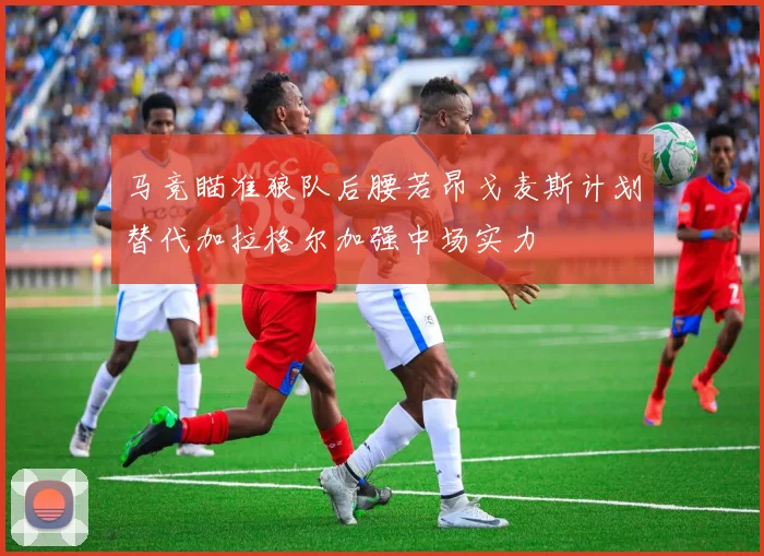 马竞瞄准狼队后腰若昂戈麦斯计划替代加拉格尔加强中场实力