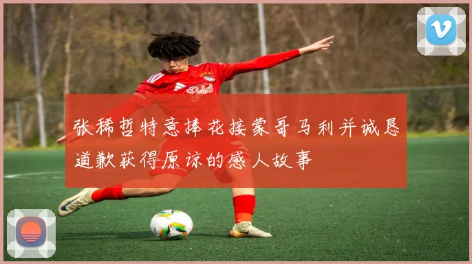 张稀哲特意捧花接蒙哥马利并诚恳道歉获得原谅的感人故事