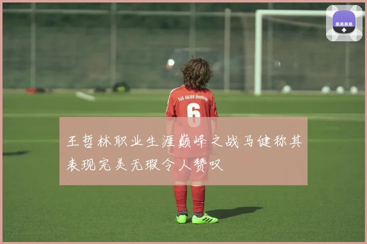 王哲林职业生涯巅峰之战马健称其表现完美无瑕令人赞叹