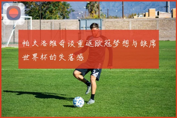 帕夫洛维奇谈重返欧冠梦想与缺席世界杯的失落感